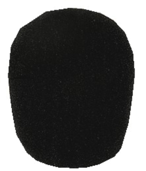 WS-3