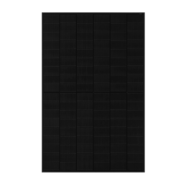 CHSM48RN(DG)(BLH)-450/F-BH - full black - bifacial