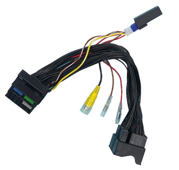 CA-VWM01