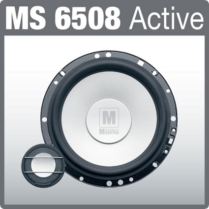 MS 6508 Active