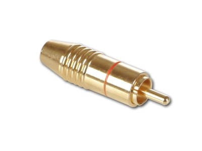 Cinchstecker vergoldet CHP