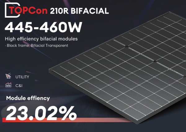 SPDG460-N96R12 Black frame, Bifacial Transparent