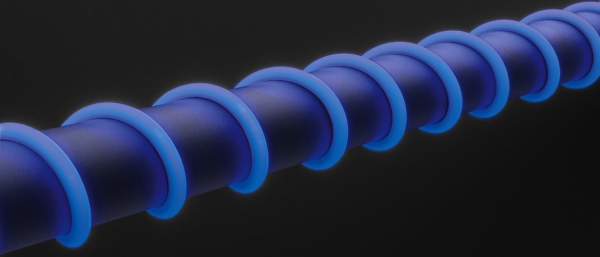 NEON-5BL