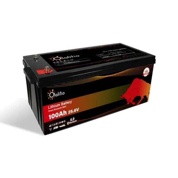 OLA-24-100 LiFePO4 24V 100Ah Lithium Batterie mit Smart BMS