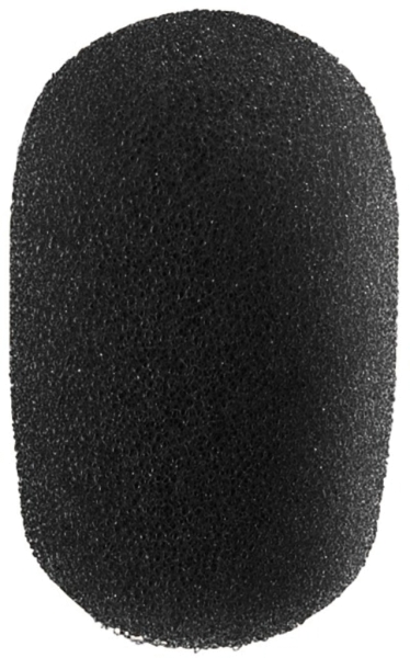 WS-300SW