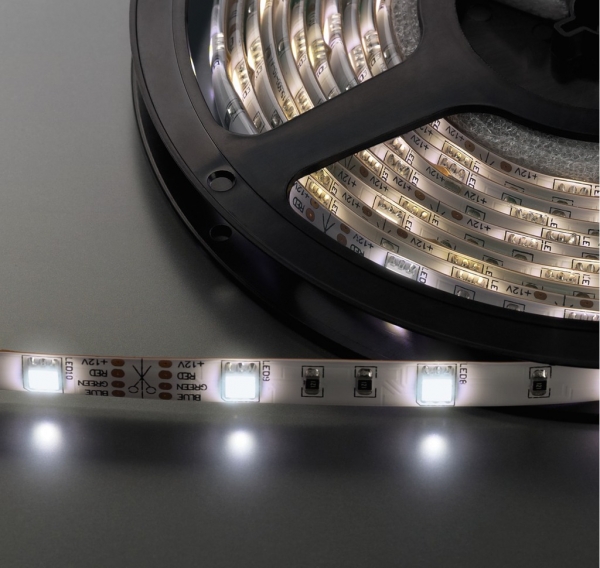 LEDS-55MPWS